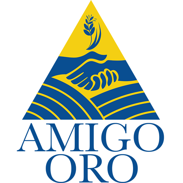 Amigo Oro Logo 2x2