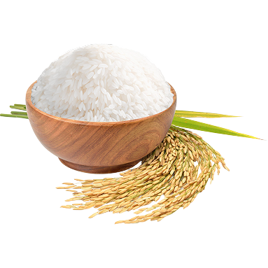 Rice Inside the Bowl Rice Inside the Bowl