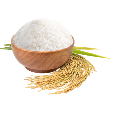 Ultimo Rice About Us - Amigo Oro