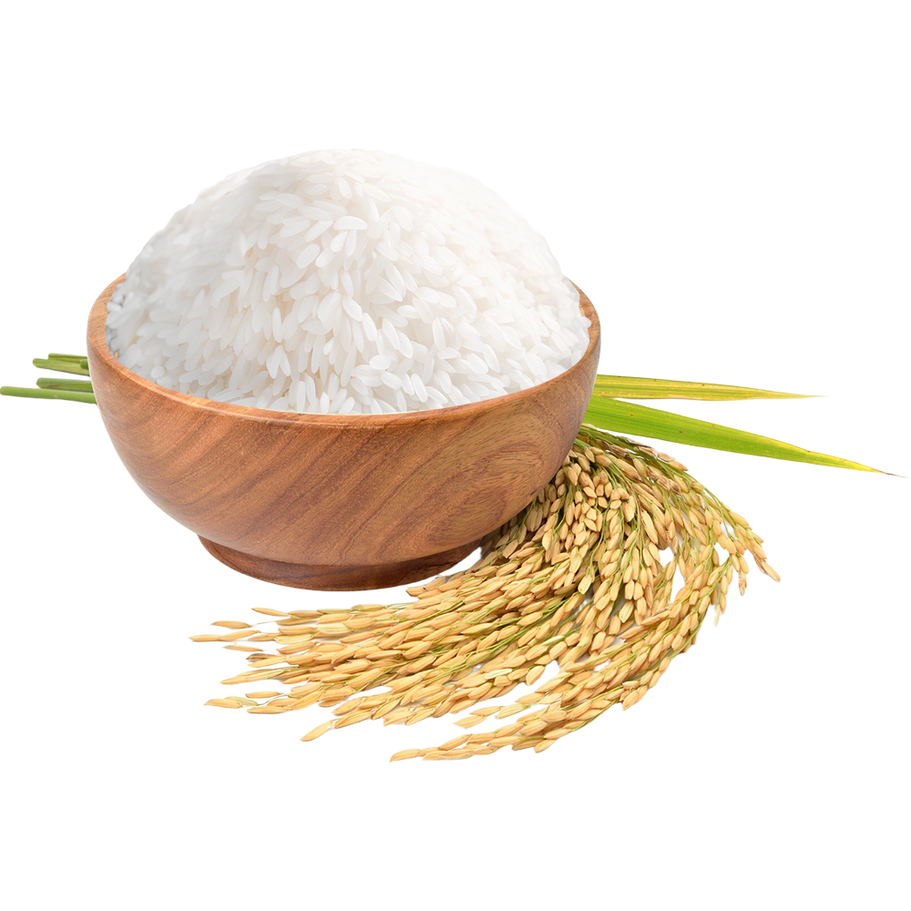 Long Grain Rice Picture
